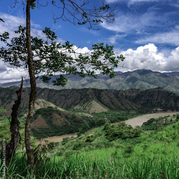 Obraz A river runs through