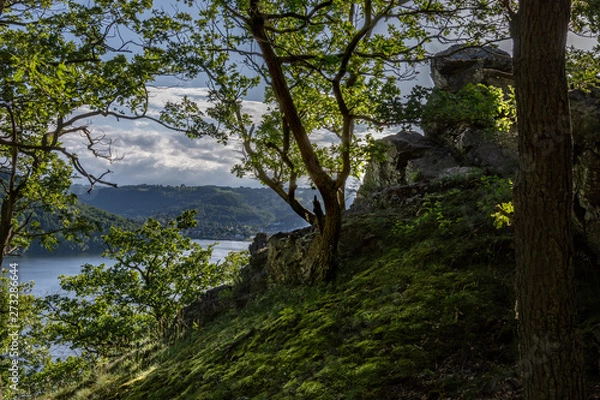 Obraz Forest at the lake