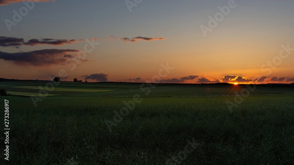 Obraz sunset over green field