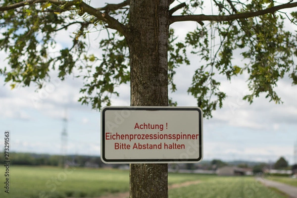 Fototapeta Warnung vor Eichenprozessionsspinner, Schild