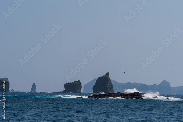 Fototapeta 小笠原　聟島　針之岩