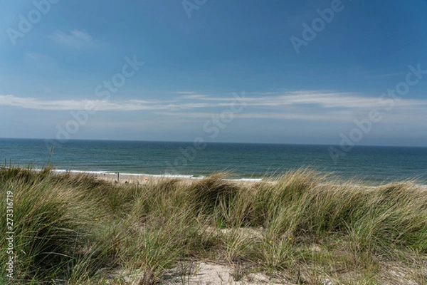 Fototapeta Sylt - View to Grass Dunes and Beach at Wenningstedt / Germany