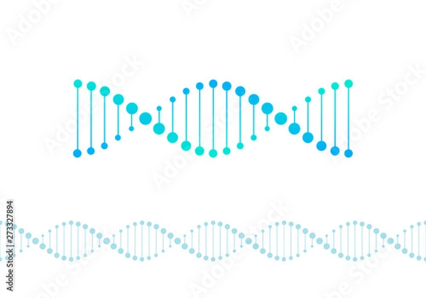 Obraz Vector science design elements. Flat blue gradient DNA spiral symbol and horizontal border seamless pattern isolated on white background. Design for scientific banner, poster, logo, infographic, web