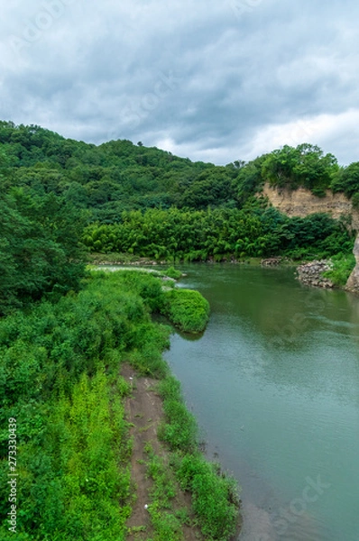Fototapeta 真夏の雨
