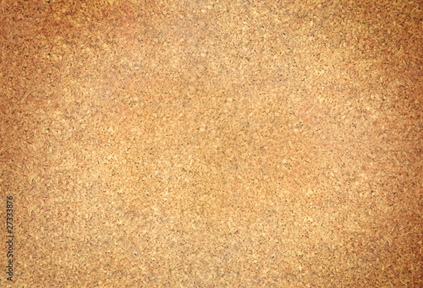 Obraz corkboard