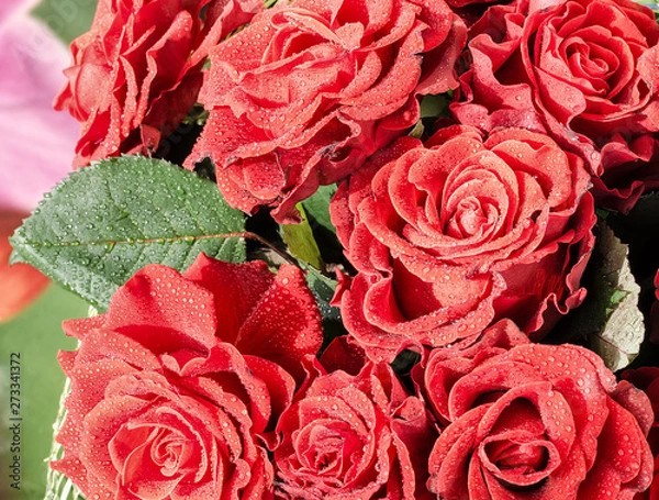 Fototapeta Red Roses