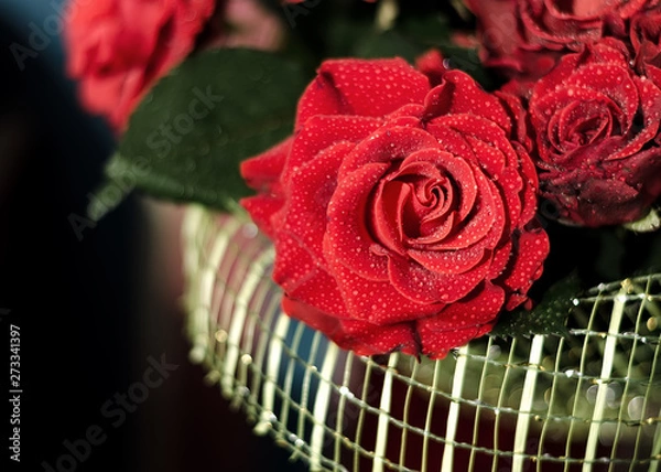 Fototapeta Red Roses