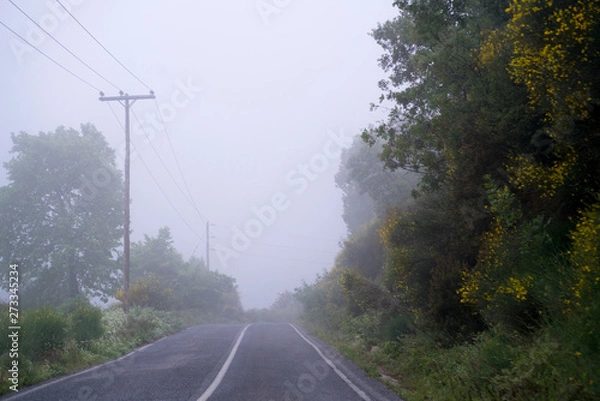 Fototapeta fog on the way