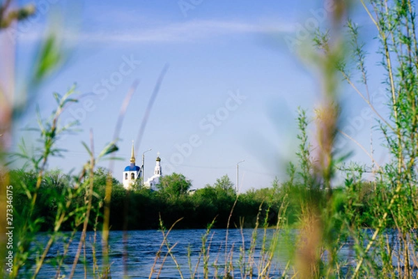 Obraz grass and water