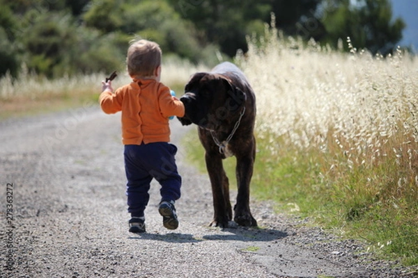 Fototapeta bébé et son chien cane corso