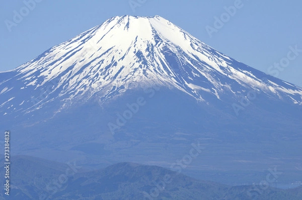 Fototapeta 春富士眺望
