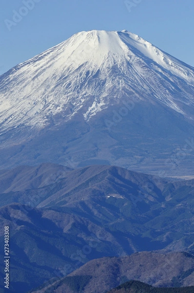 Fototapeta 富士山を望む