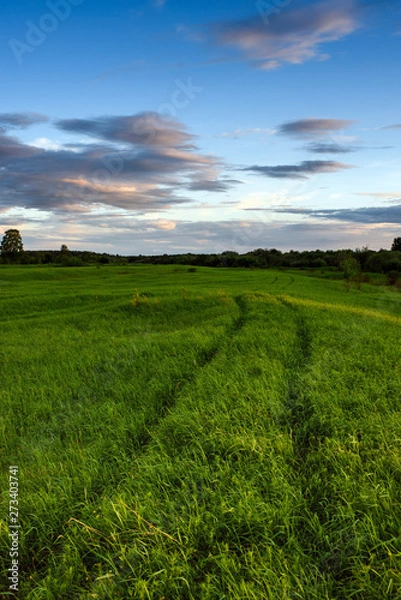 Fototapeta Dramatic sunset on the summer field.