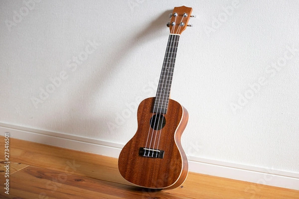 Obraz 室内のコンサートウクレレ