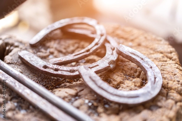 Obraz Modern horseshoes are most commonly made of steel and nailed into the hoof wall.