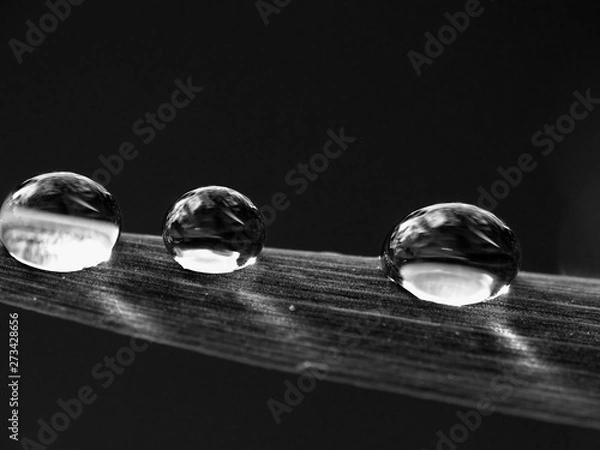 Obraz Drops