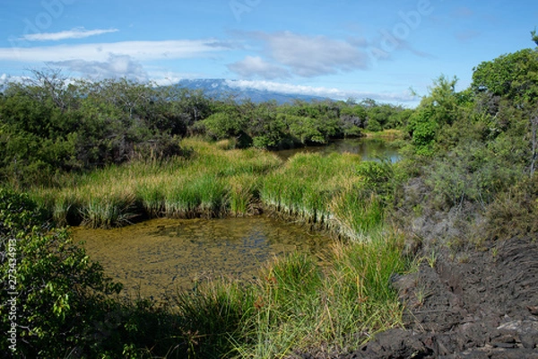 Fototapeta Galapagos