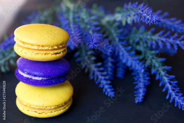 Fototapeta macaroons with a sprig of lavender