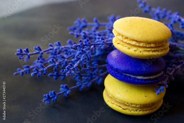 Fototapeta macaroons with a sprig of lavender