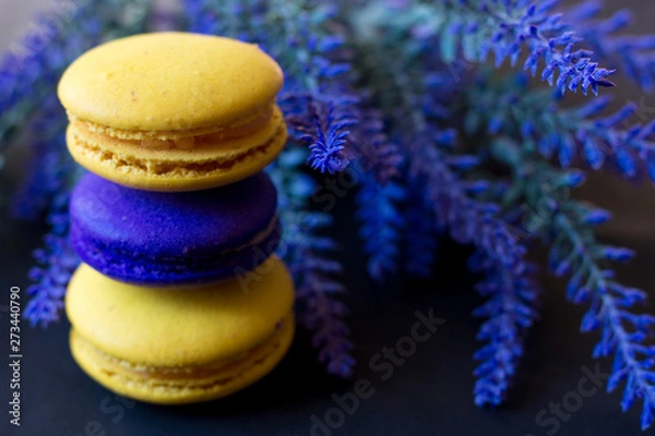 Fototapeta macaroons with a sprig of lavender