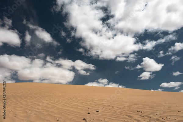 Obraz desert and sky