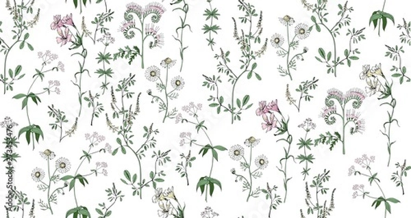 Fototapeta Meadow flowers vector seamless pattern