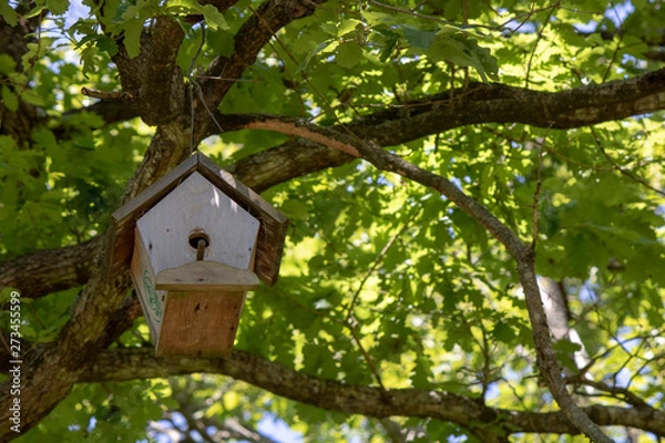 Fototapeta Wooden bird house hanging on the tree. It was taken from below.