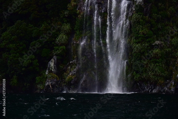 Obraz ニュージーランドのミルフォードサウンド