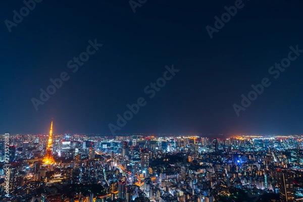 Fototapeta Tokyo city at twilight, Japan