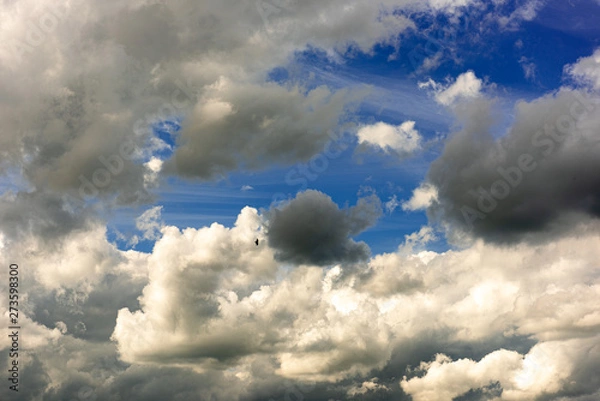 Fototapeta Summer Sky