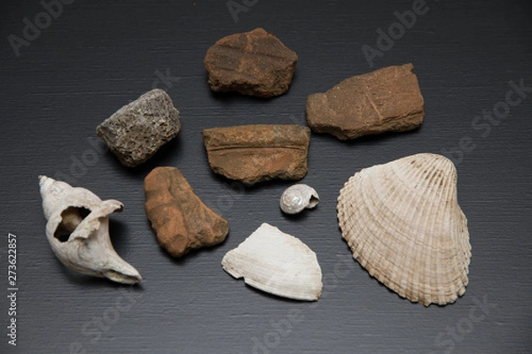 Obraz 縄文土器の欠片