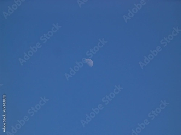 Obraz moon in the sky