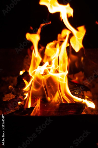 Fototapeta fire on black background