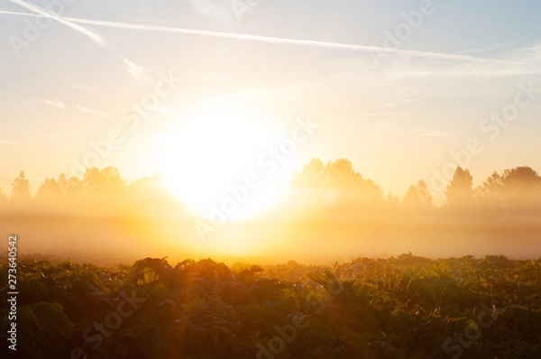 Fototapeta sunset in the mountains