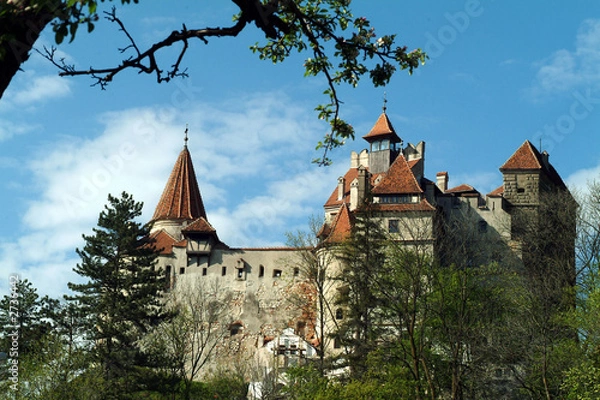 Fototapeta dracula castle