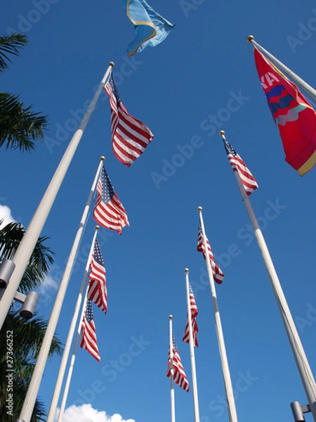 Obraz Stars and Stripes