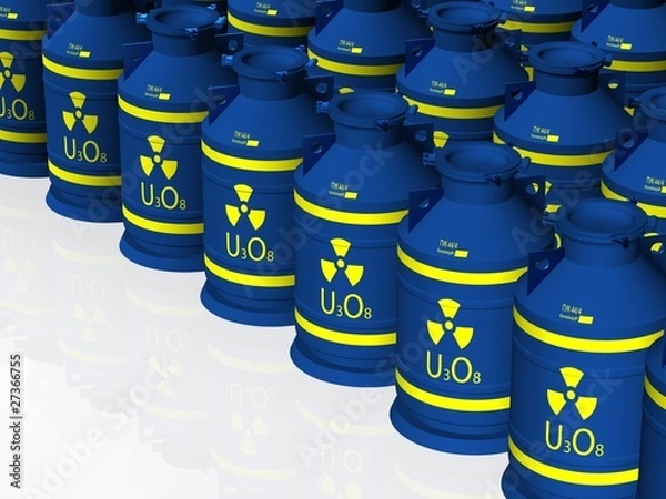 Obraz Транспорно-упаковочные контейнеры с ураном