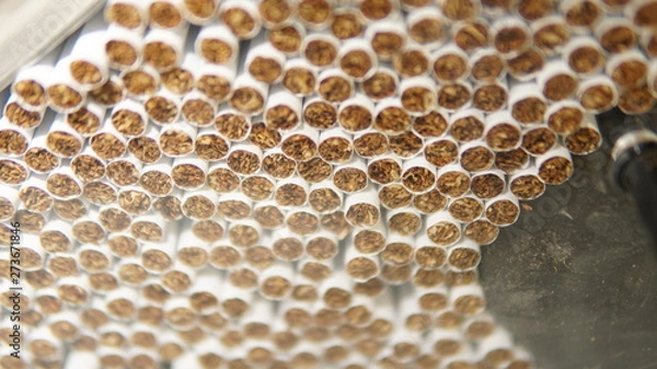 Obraz Cigarettes on a production line in a tobacco factory