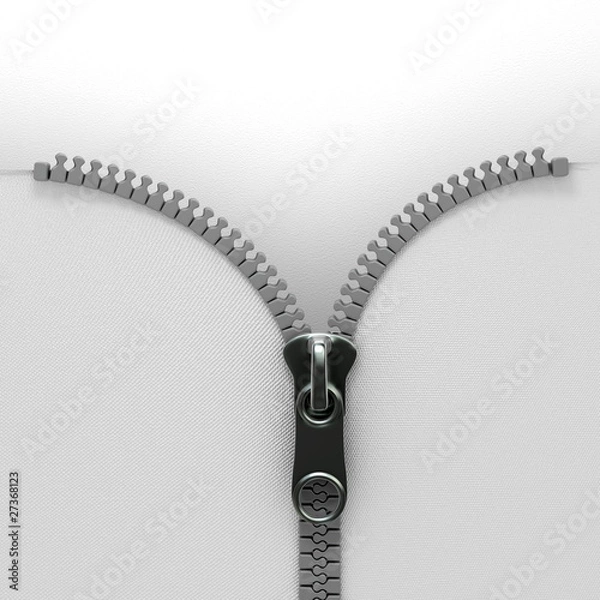 Obraz zipper