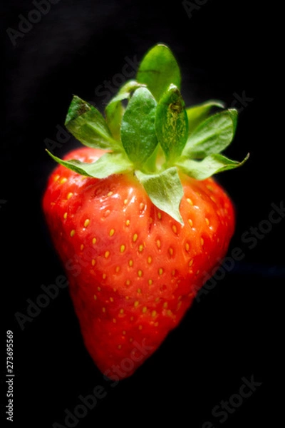Obraz strawberry on black background