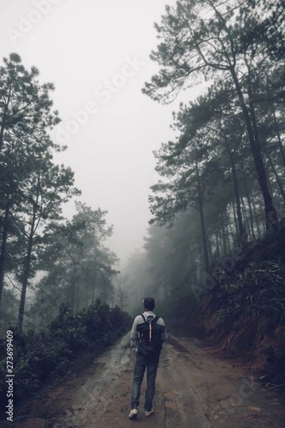 Fototapeta Forest road Fog and rain in the evening