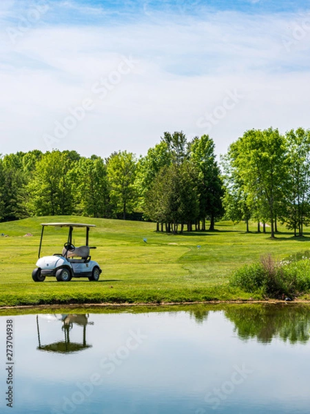 Obraz wózek golfowy odbijający się w dużym zagrożeniu wodnym