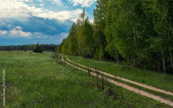 Fototapeta Beautiful landscape. Field, forest and sky. Panorama. Green juicy grass. Coniferous forest on the horizon. Cumulus in the sky. Fluffy clouds. Dirt road. Fabulous place.