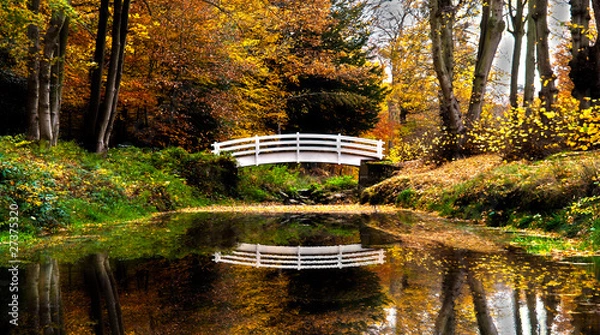 Obraz Bridge Reflection