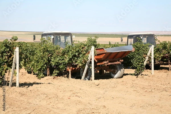 Fototapeta tractor in field