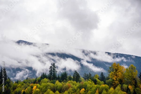 Obraz Fog and clouds covering forest and mountains.