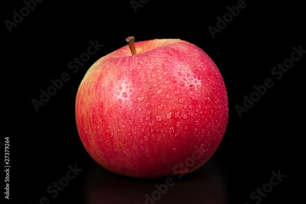 Obraz red apple isolated on  black
