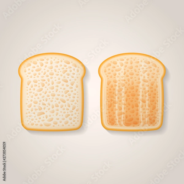 Obraz Slices of toast isolated on background. Fresh and toasted bread vector illustration.