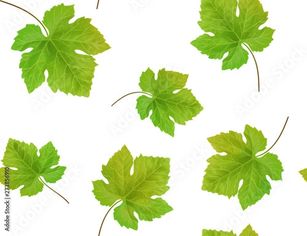 Obraz Seamless background with grape leaves. Vector illustration.
