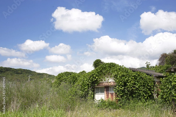 Obraz 住人が去り放置されたままのアパートや住宅や一軒家